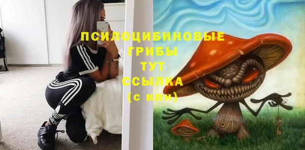 гашиш Инта